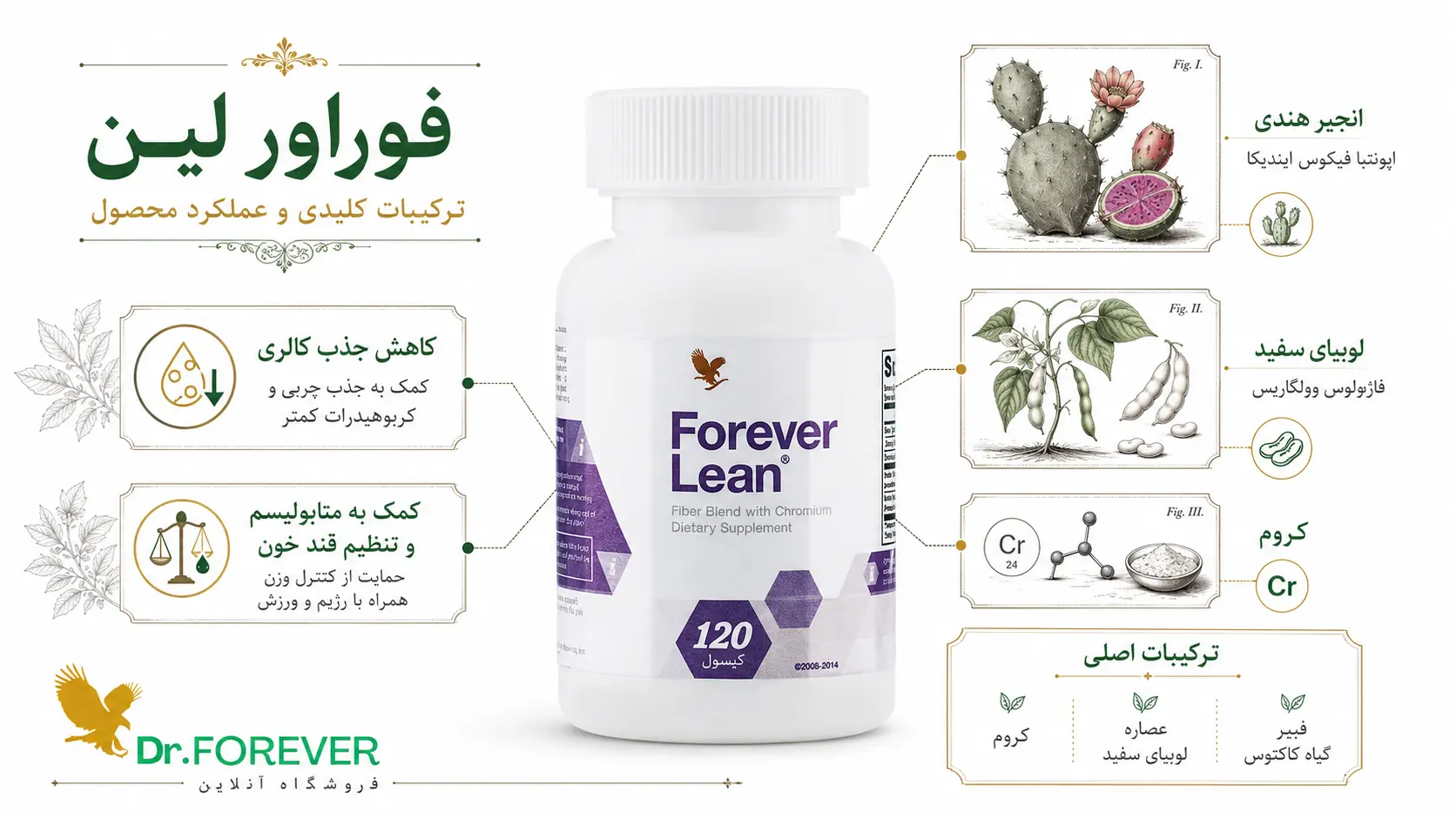 ترکیبات مکمل فوراور لین