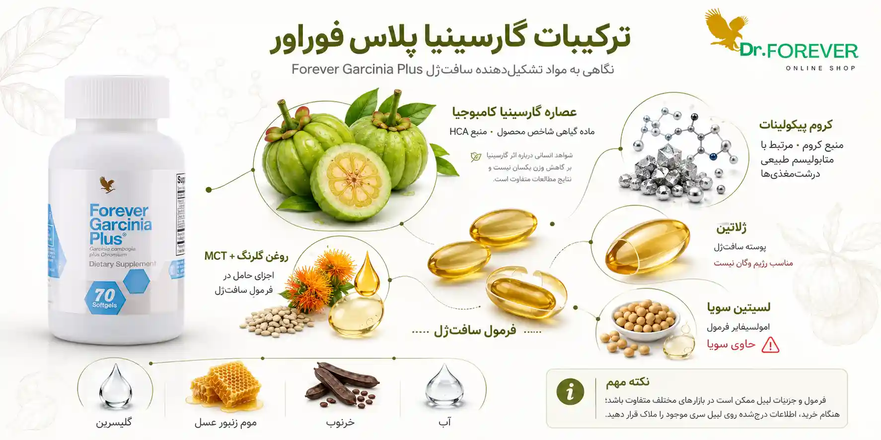ترکیبات اصلی گارسینیا پلاس فوراور