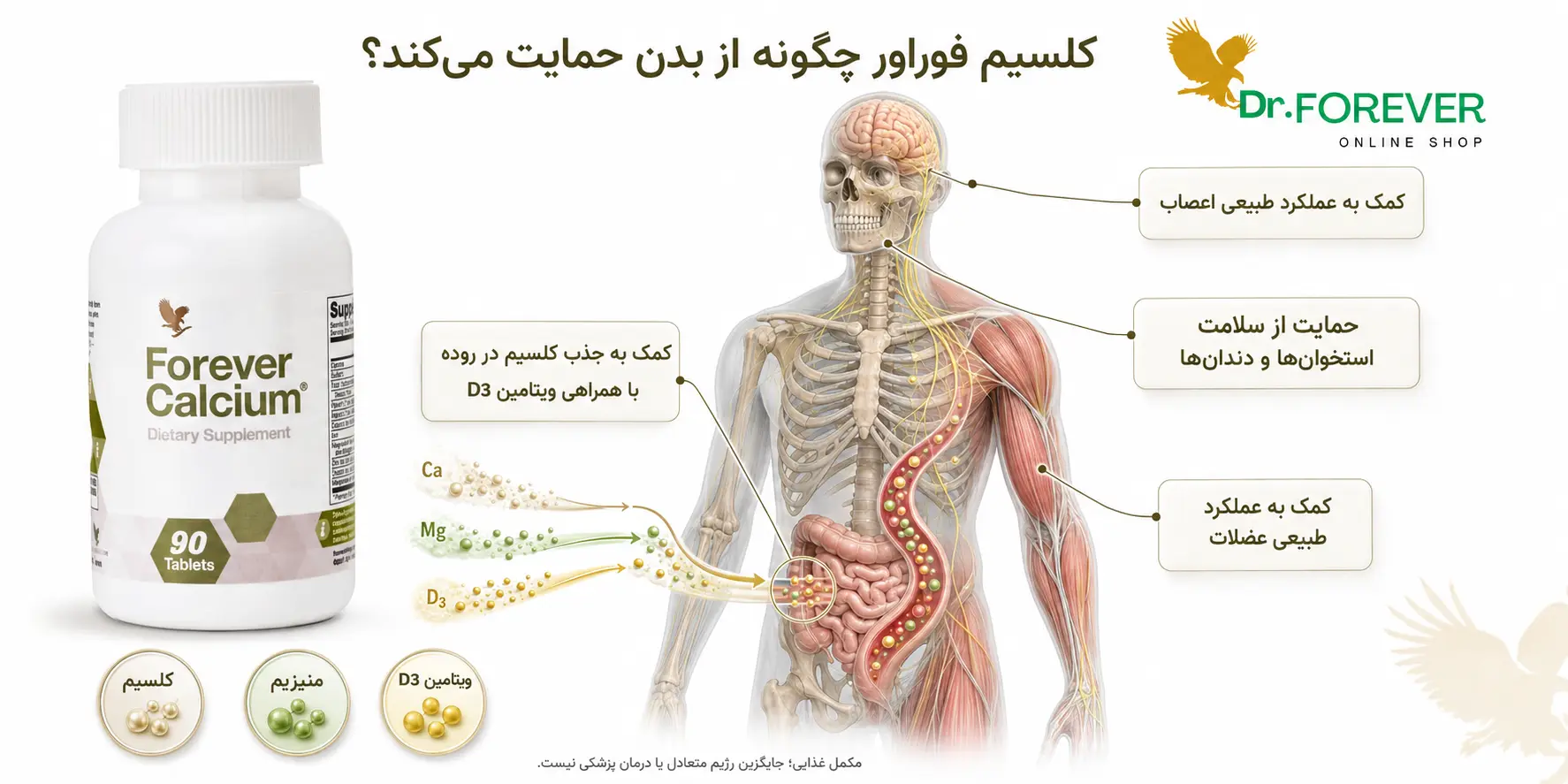 مکمل فوراور کلسیم چطور از بدن حمایت میکند